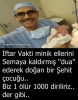 yaran capsler