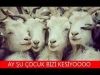 bir kız tarafından kesildiğinizi sanmak / #1657139