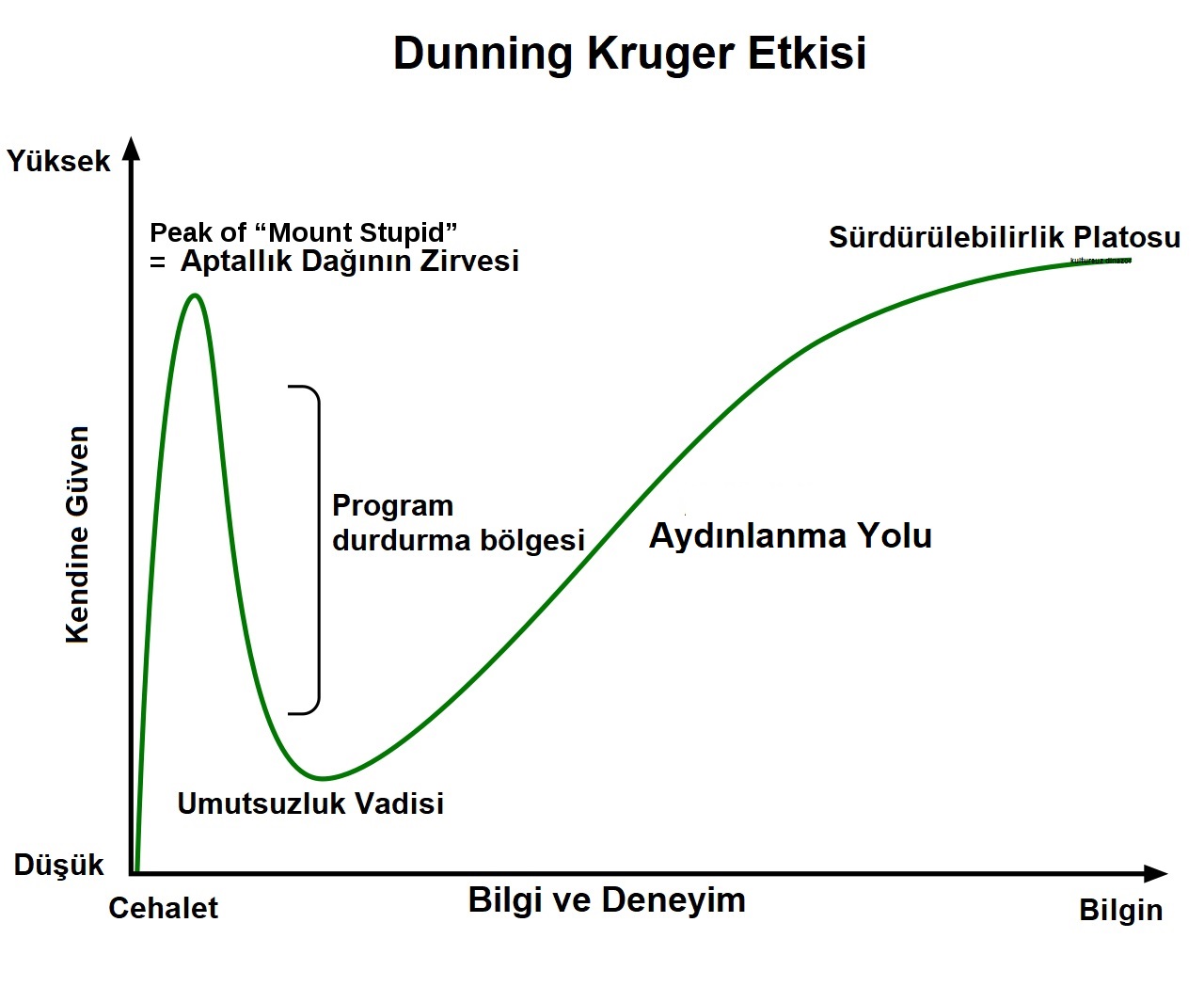 Данинг клюгер эффект. Даунинг Крюгер. Даннинг. Dunning Kruger etkisi. Kruger, Justin; David Dunning.