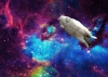galaktik kedi