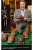 homo erectus un uzunca bir süre yaşamaları / #1950921