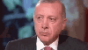 tayyip abi yalvarırım aday olma / #2287958