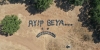 ayıp beya / #2074361