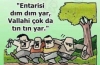 çok takipçisi olan kız kaşar mıdır / #1715325