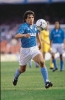 gianfranco zola / #1327132