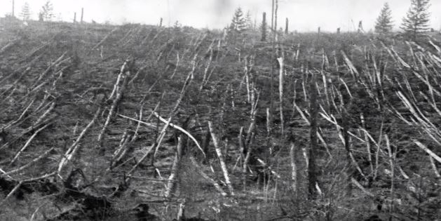 tunguska patlaması 30 haziran 1908