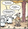 esrar yiyen koyunların köyü birbirine katması / #1070831