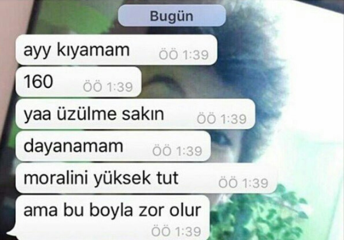 köpektapar kadından köpeği vuran polise yapma. zeusun eltisi adlı yazarın p...