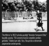 açlıktan birbirini yiyen insanlar / #2230661
