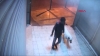 denizli de köpeğe tecavüz olayı / #2162936