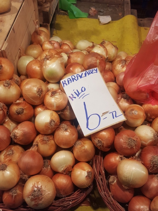 pazardayız uludağ sözlük