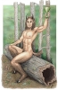 satyr