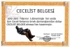 cecelist belgesi / #1438098