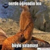 sayın cumhurbaşkanımıza çok teşekkür ederim / #2150791