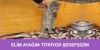 takip edilince havaya giren yazarlar / #1575419