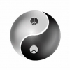 yin yang