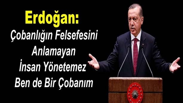 %C3%A7oban-tayyip-erdo%C4%9Fan_1239274_m.jpg