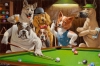 bilardo oynayan köpekler tablosu / #2292728