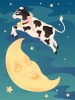 gece aniden pencereden meme girmesi / #2231492