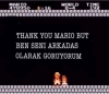 thank you mario but princess is in another castle