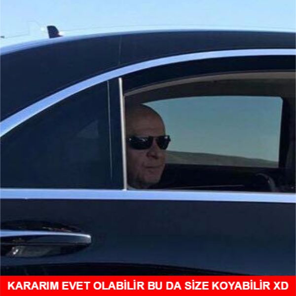 devlet bahçeli