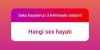 seks hayatınızı özetleyen tek kelime / #1721406