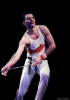 freddie mercury