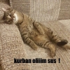 kürdüm ne istiyorsunuz bizden / #1855881
