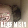 musallat olan cin nasıl gider / #1485805