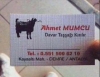 davar taşşağı kırmak / #1571655