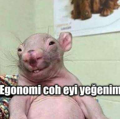dolar daha da artar mı