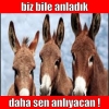 ayağı burkulsa erdoğan diyecek kitle / #1269486