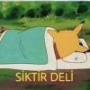 kıbrıs ismailağa cemaati sayesinde alındı / #2361136