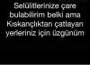 kıskanılmak nasıl bir duygu / #2120936