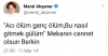 kürtler merale mi tayyib e mi oy verir / #1669015