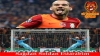 wesley sneijder