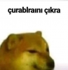 geceye bir deniz baykal repliği bırak / #2193993