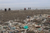 zonguldak ta sahile vuran çöpler ve tıbbi atıklar