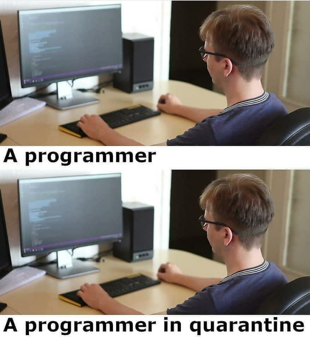 День программиста шутки. Программирование прикол. Смешной программист. Что нужно чтобы стать айтишником с нуля. Не идите на программиста.