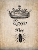 kraliçe arı