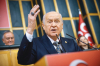 milliyetçi hareket partisi / #2426622