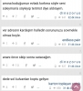 d i n o z o r u s un acınacak halde olması / #1775277