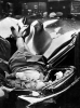 evelyn mchale