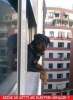 gece köpek çetesinin içinden korkmadan geçebilmek / #1545086