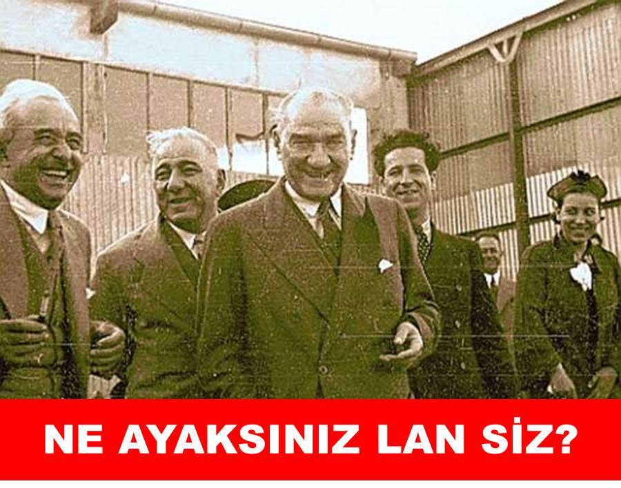 sert acımasız porno sert acımasız porno