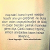 gecenin duvar yazısı / #1506472