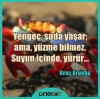 yengeç / #1035641