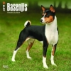 basenji