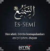 es semi