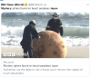japonya kıyıya vuran gizemli top